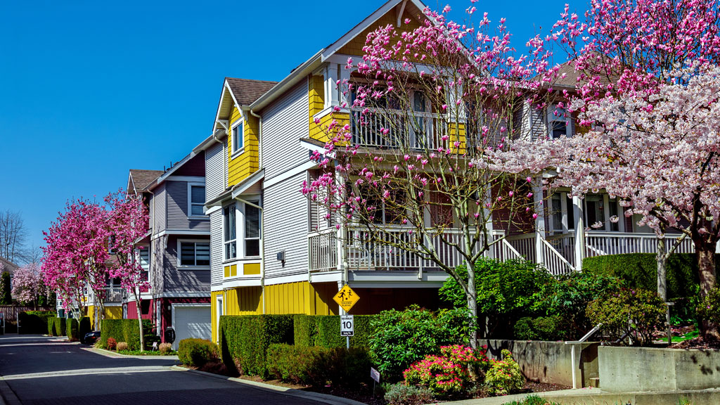 Façade townhouse américain moderne avec pelouse entretenue et garage